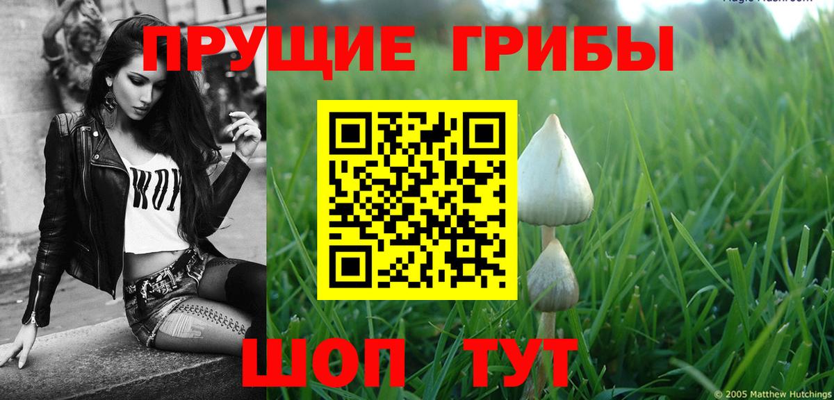 Дзержинск  Галлюциногенные грибы GOLDEN TEACHER  Вход с VPN 